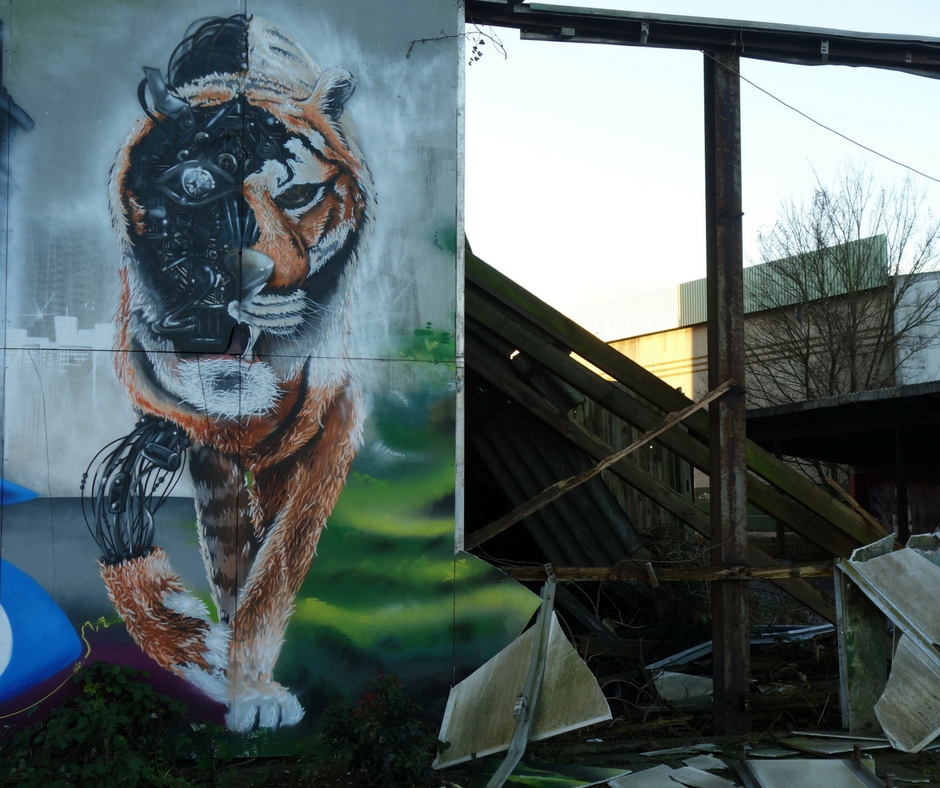 Graffiti Cyborg Tiger Elmshorn Knechtsche Hallen Ellas Schreibwelt