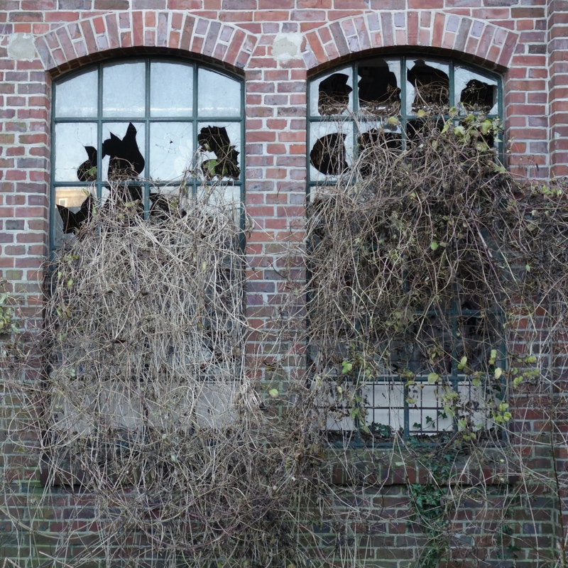 Pflanzen erobern die Knechtschen Hallen in Elmshorn Ellas Schreibwelt