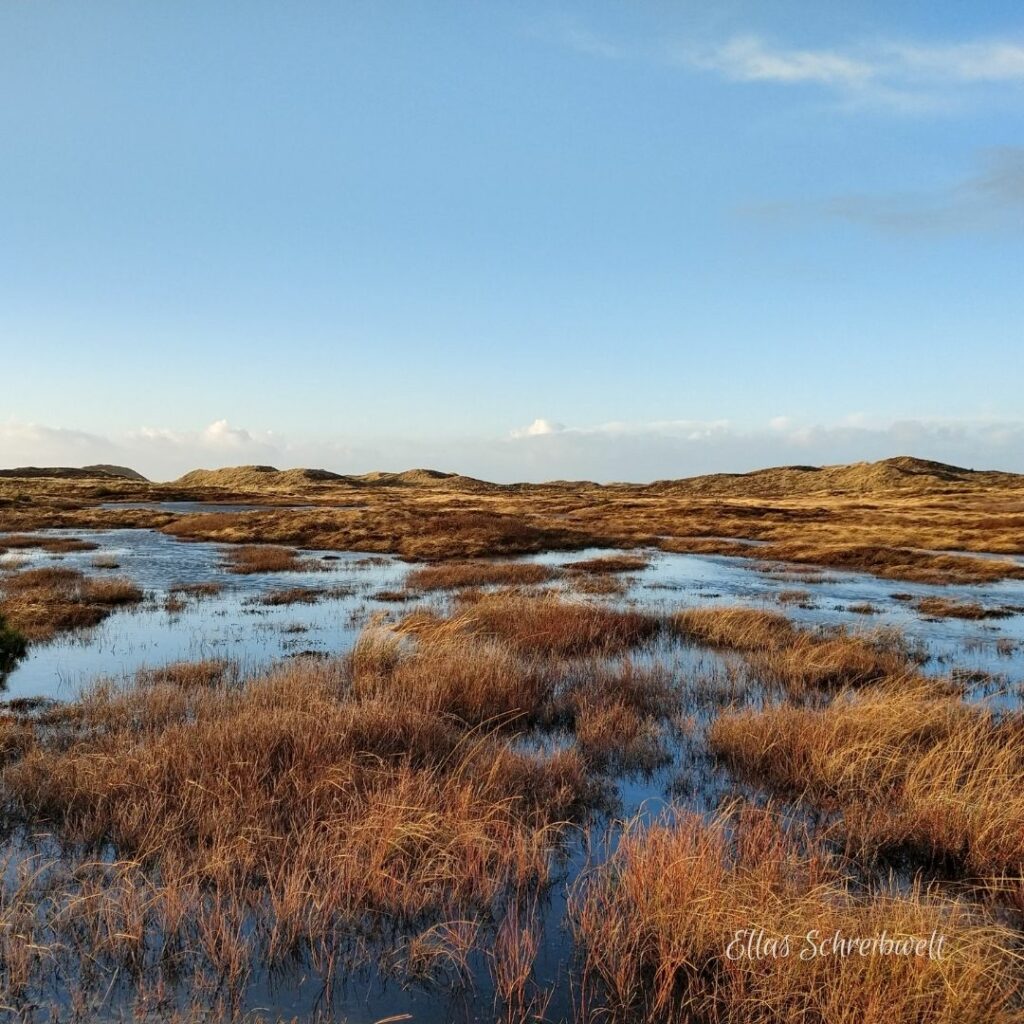 Der Nationalpark Thy nach heftigen Regenfällen