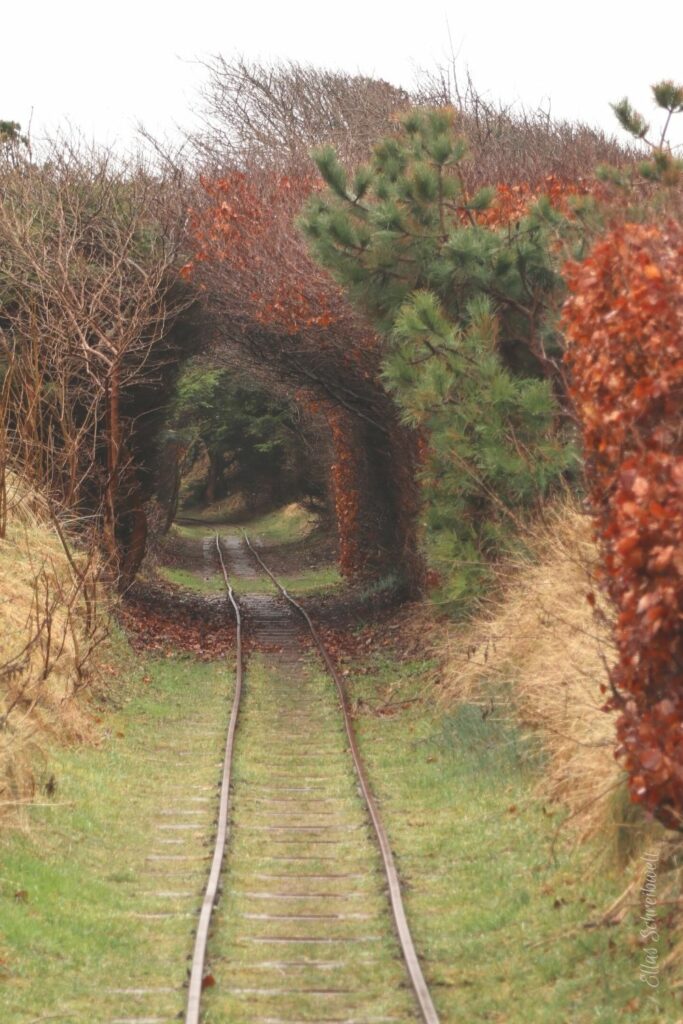 Krumme Gleise der Schmalspurbahn im Freilichtmuseum Hanstholm Dänemark