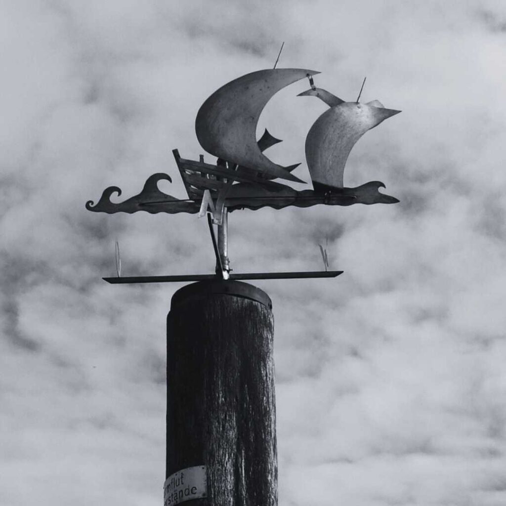 Notizen 2 Abschluss und neuer Weg Ellas Schreibwelt November 2025