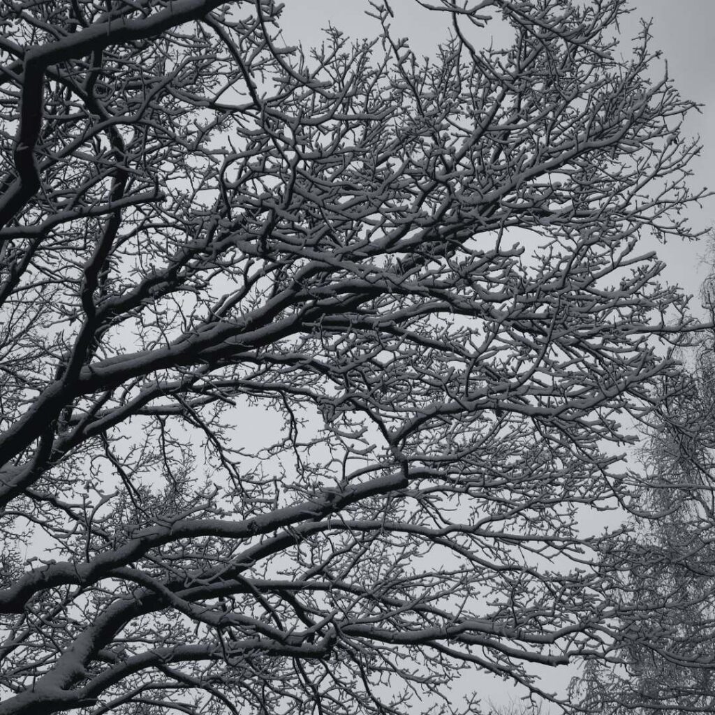 Winterblues Ellas Schreibwelt Januar 2026