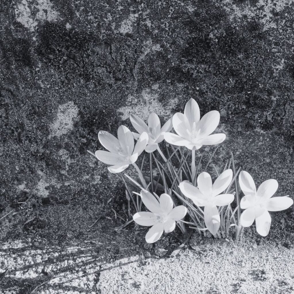 Blickwinkel Ellas Schreibwelt Notizen Maerz 2026