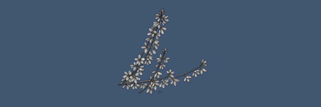 Auge in Auge mit dem Antagonisten 6 Forsythie Skizze Auge in Auge mit dem Antagonisten Ellas Schreibwelt