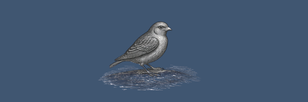 Auge in Auge mit dem Antagonisten 4 Spatz Skizze Auge in Auge mit dem Antagonisten Ellas Schreibwelt 1